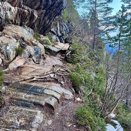 Utsikten Kongen