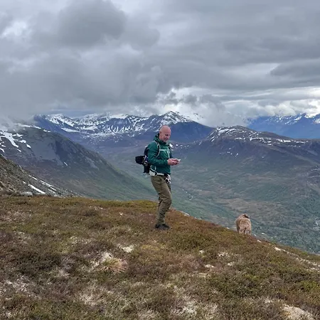 Utsikten Kongen *