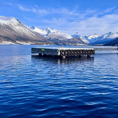 公寓 Utsikten Kongen