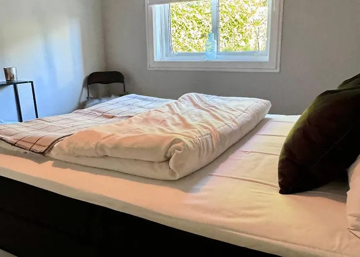 Utsikten Kongen